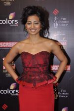 at Screen Awards red carpet in Mumbai on 12th Jan 2013 (85).JPG
